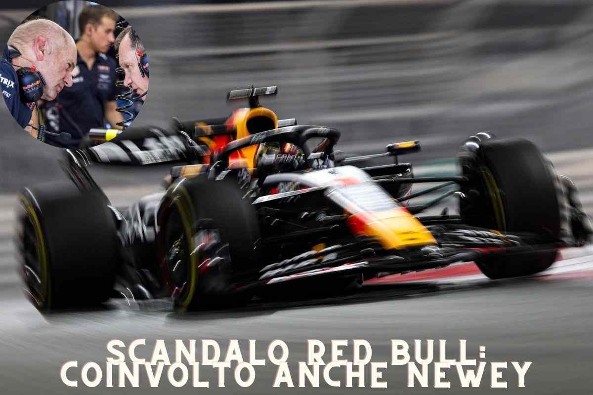 Red bull Newey