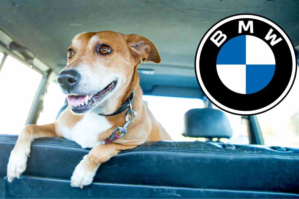 BMW X7 Poldo Dog Couture novità cane SUV