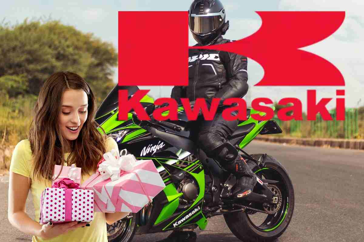 Kawasaki Meet 'N Green occasione Axel Bassani novità moto