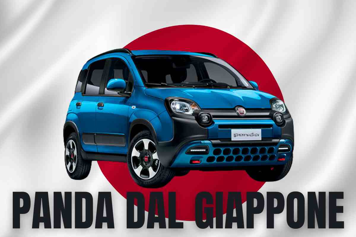 panda giapponese low cost