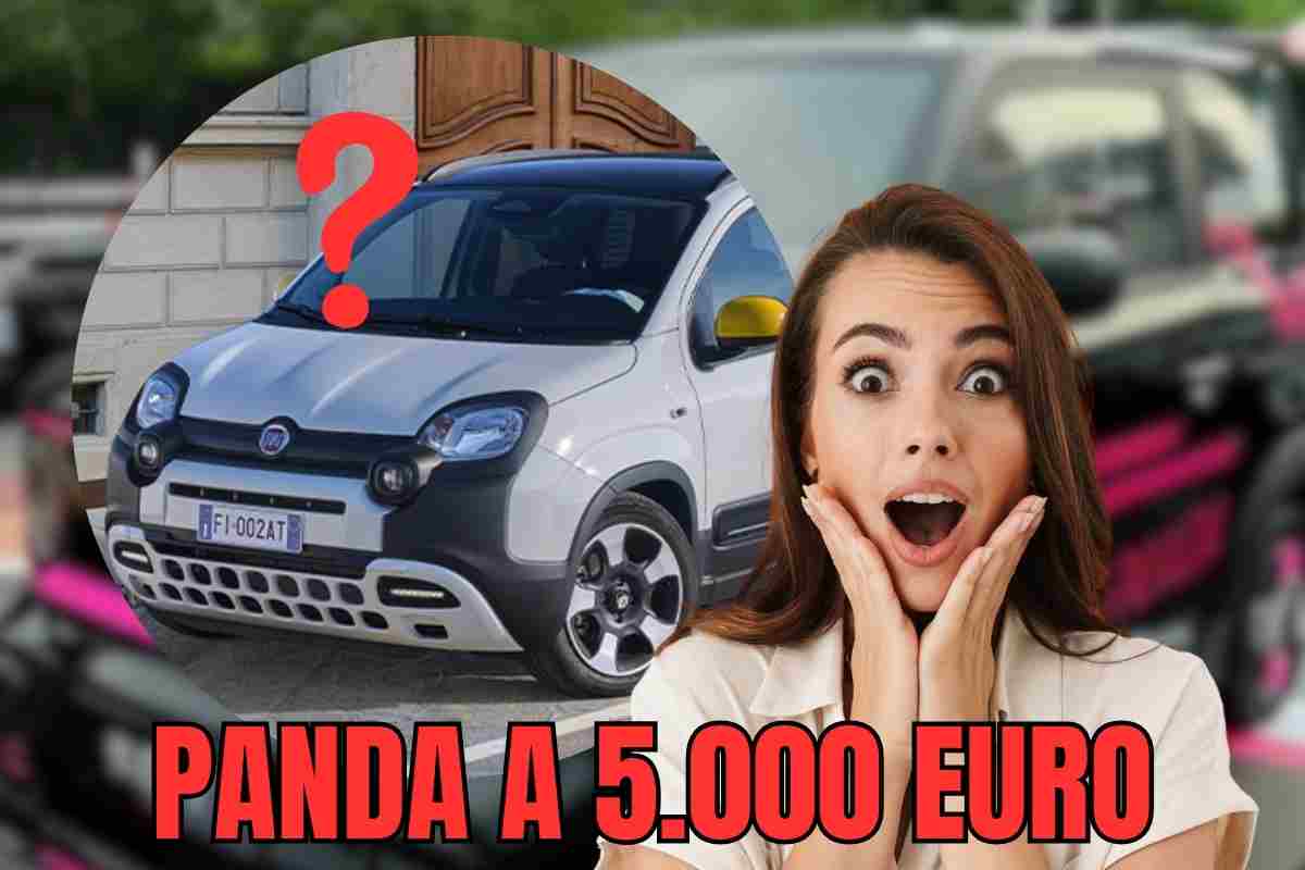 Panda modello 5.000 euro