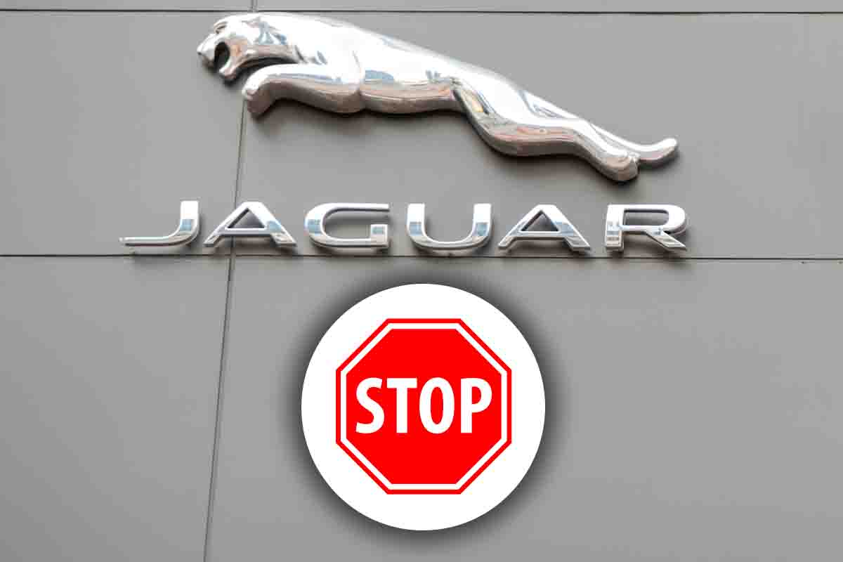 Jaguar auto eliminate