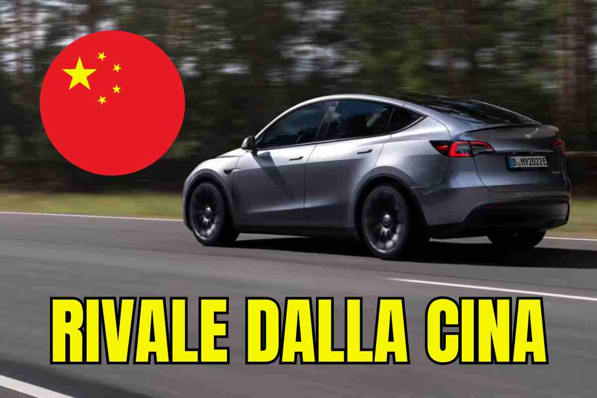 tesla suv cina rivale