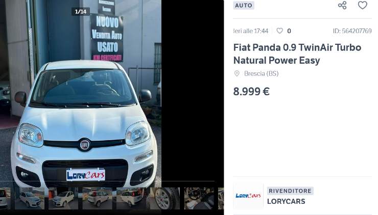 Fiat Panda maxi offerta