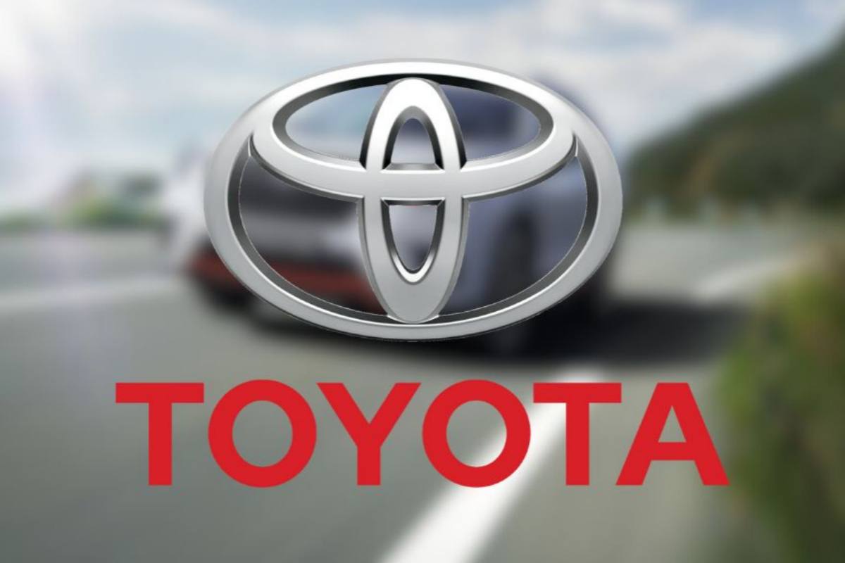 Toyota maxi offerte