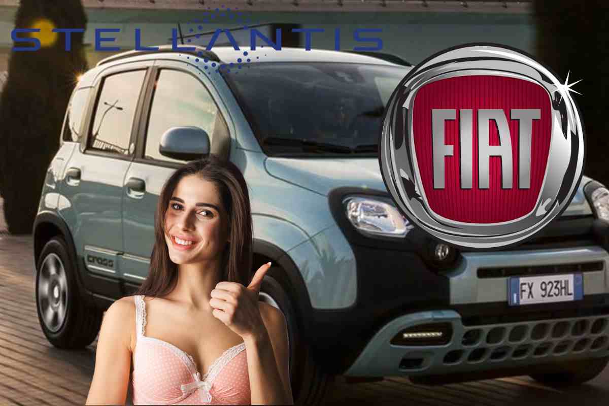 FIAT Panda nuovo SUV gemello